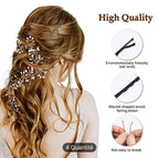 Épingles À Cheveux Noires Élégantes Pince Chignon 48Pcs