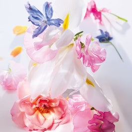 Miss Dior Eau De Parfum